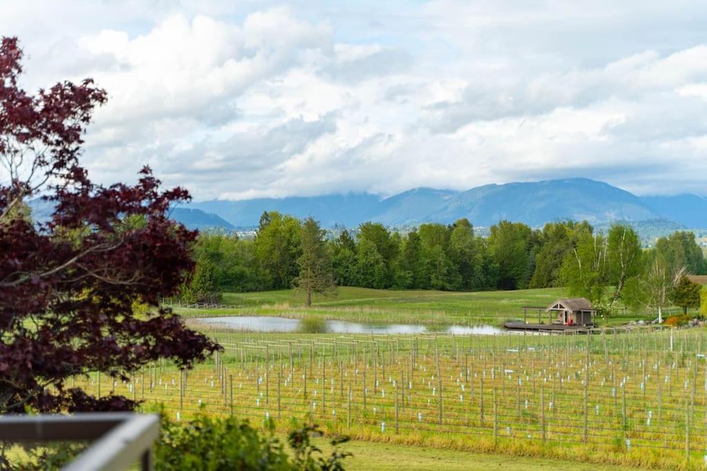 Season Premiere Winery-Bed & Breakfast In Vineyard อับบอทส์ฟอร์ด ภายนอก รูปภาพ